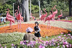 BIB: 
                            <button type="button" onclick="openModal(27793808)" class="btn btn-primary btn-sm float-right btn-popup" data-toggle="modal" data-target=".modal-high-quality">
                        <i class="fas fa-shopping-cart"></i> Add to Cart
                    </button>
                                            <button type="button" onclick="isThisMe(27793808, true)" class="btn btn-success btn-sm float-right btn-popup btn-isme hidden" data-toggle="tooltip" data-placement="bottom" title="นี่คือรูปของคุณใช่ไหม คลิกที่นี่เพื่อเอาเข้าอัลบั้ม">
                        <i class="fas fa-plus"></i> Add to album
                    </button>
                    <button type="button" onclick="isThisMe(27793808, false)" class="btn btn-warning btn-sm float-right btn-popup btn-isnotme hidden">
                        <i class="fas fa-ban"></i> Remove from album
                    </button>